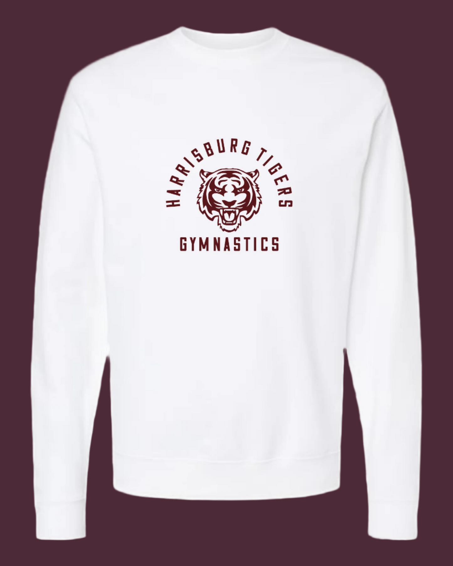 White Next Level Apparel Long Sleeve
