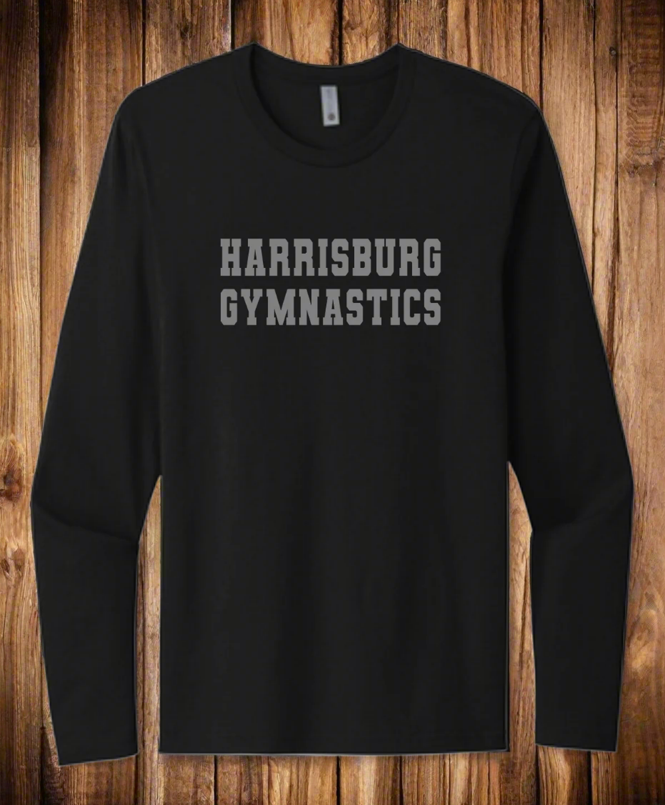Black Next Level Apparel Long Sleeve