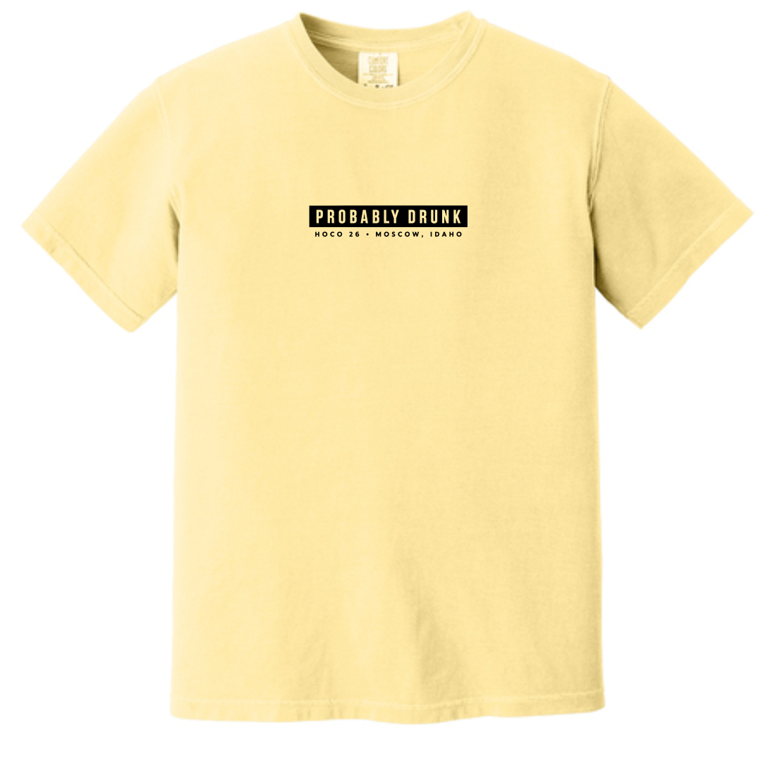 Probably Comfort Colors T-Shirt