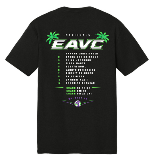 District Perfect Tri-Blend T-Shirt (Front&Back)